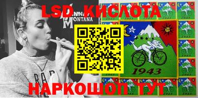 стаф Берёзовский
