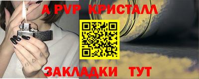 стаф Берёзовский