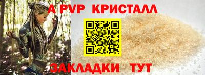 стаф Берёзовский
