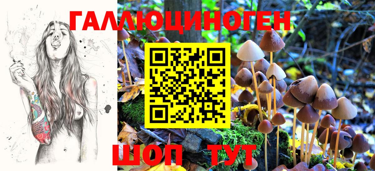 Псилоцибиновые грибы мухоморы  купить наркоту  Зеленогорск  Вход с VPN 