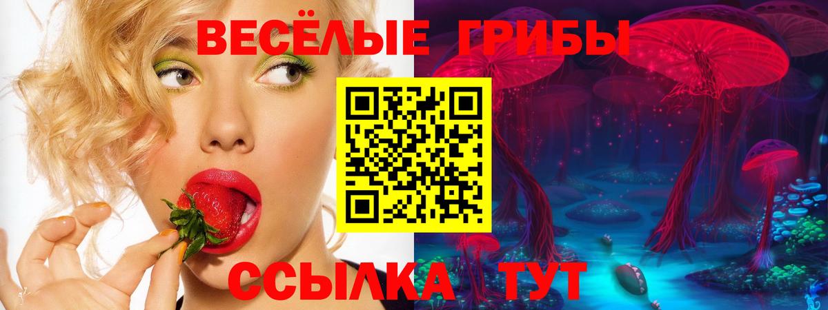 Псилоцибиновые грибы GOLDEN TEACHER Зеленогорск